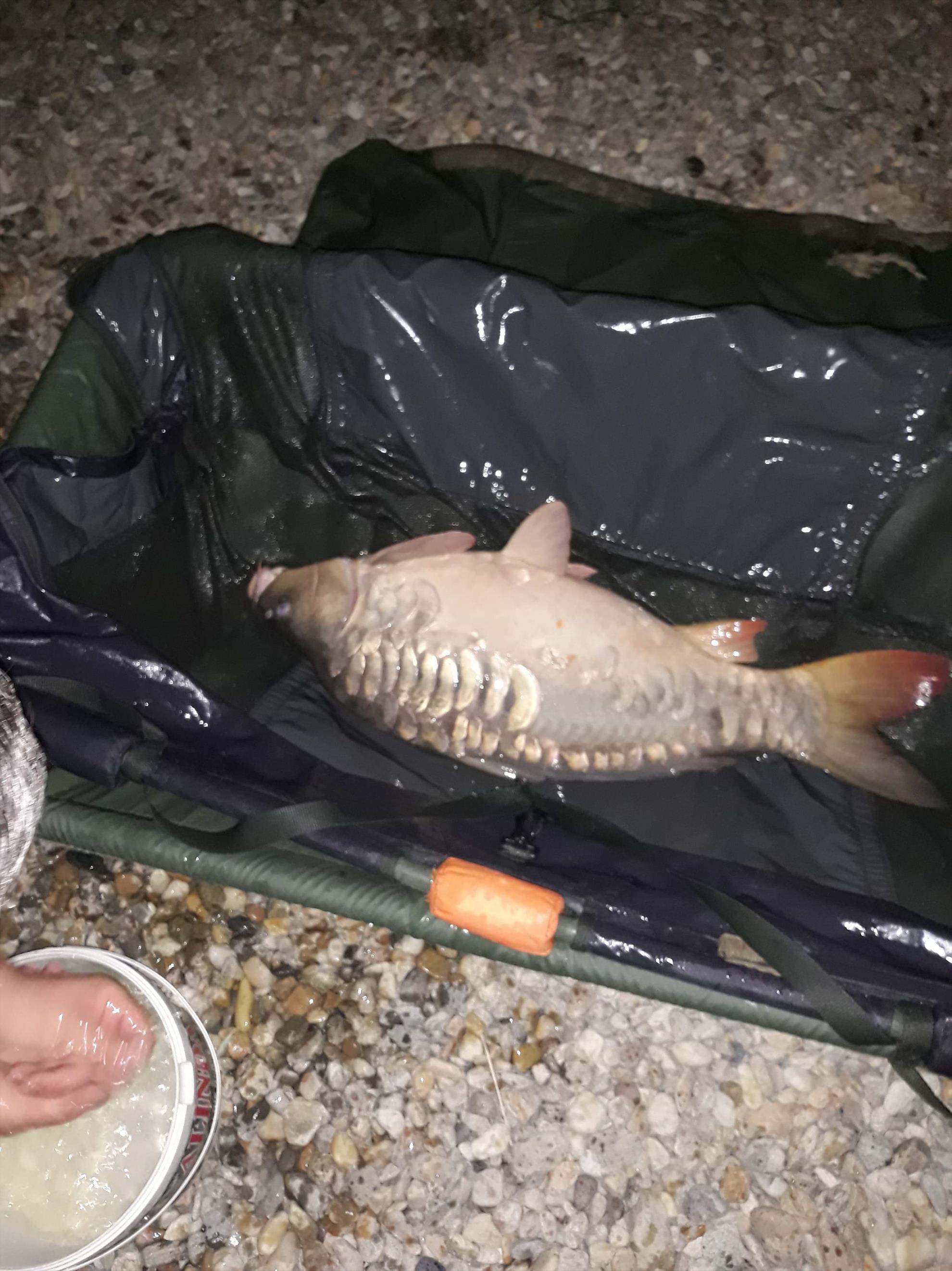 Varlaam 2018 oct - received247668626102306.jpeg